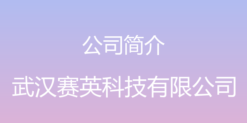 公司简介 - 武汉赛英科技有限公司