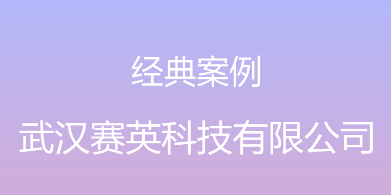 经典案例 - 武汉赛英科技有限公司