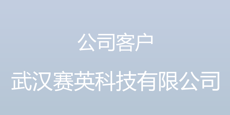 公司客户 - 武汉赛英科技有限公司