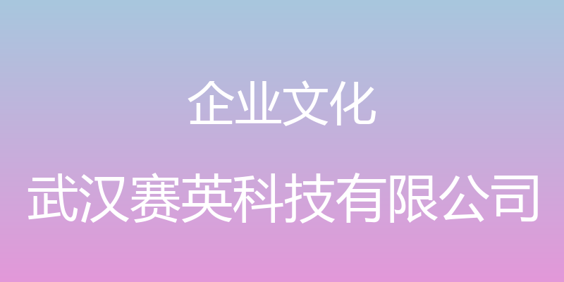 企业文化 - 武汉赛英科技有限公司