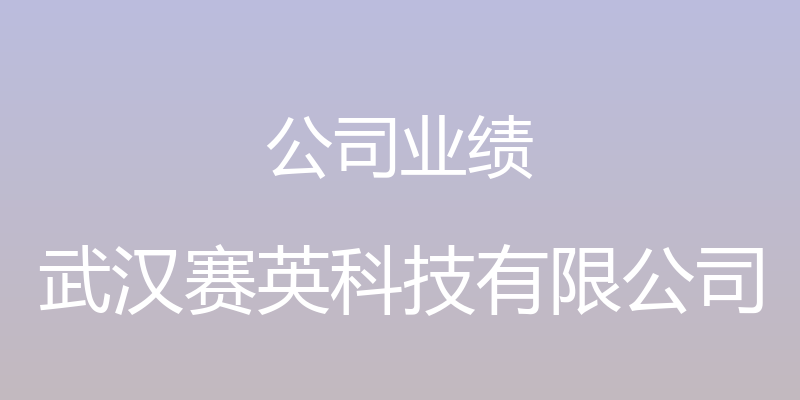 公司业绩 - 武汉赛英科技有限公司